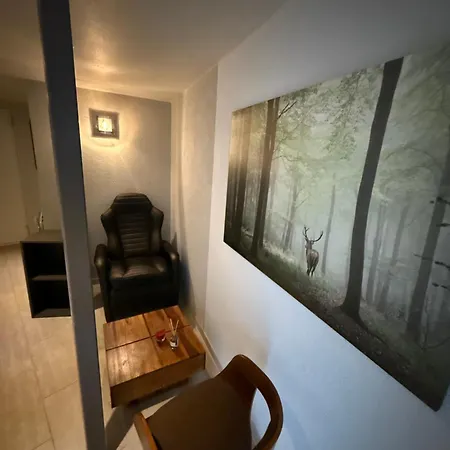 Neon Apartements 3*